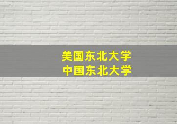 美国东北大学 中国东北大学